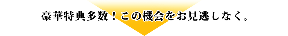 豪華特典多数！この機会をお見逃しなく。