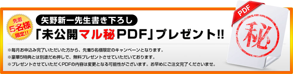 矢野新一先生書き下ろし「未公開マル秘PDF」プレゼント！！