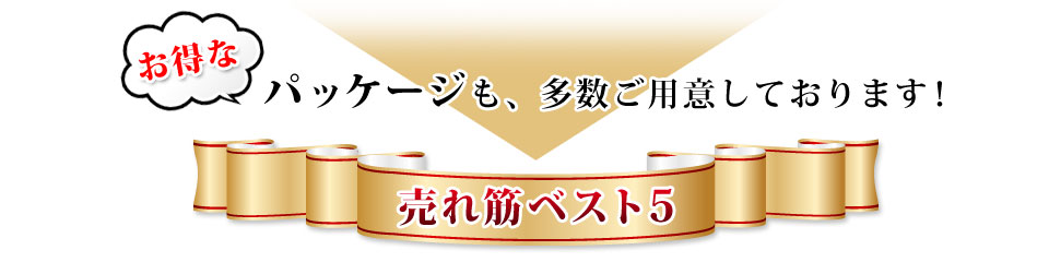 お得なパッケージ売れ筋ベスト5